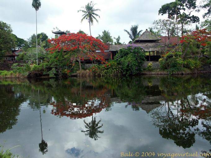 Reflection in the lake, Mengwi Taman Ayun - Bali
