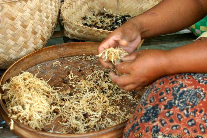 Preparation of algae, Nusa Dua - Bali