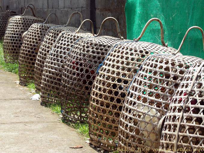 Poultry crates, Penglipuran - Bali