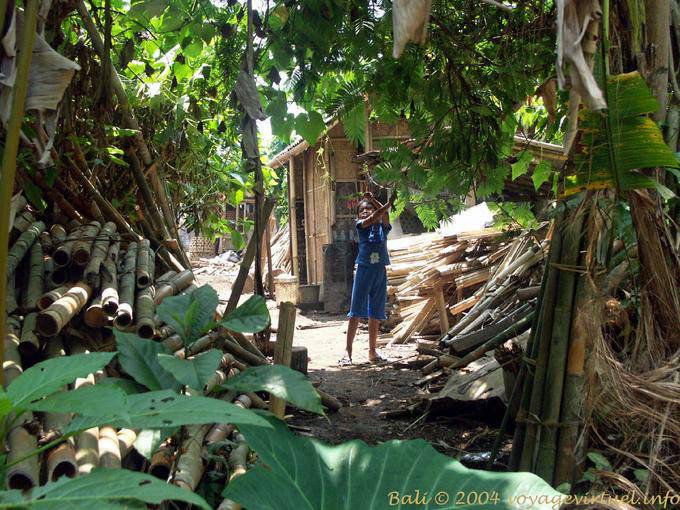 Gym in the morning Penglipuran - Bali