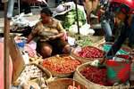 Gianyar, selling peppers, Bali.