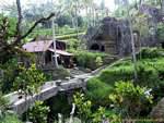 Along the stairs leading to the temple Gunung Kawi, Bali.