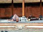 Sleeper in the temple Pura Sada Kapal, Bali.