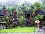 Visit the rain, Luhur Batukaru., Bali.
