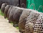 Poultry crates, Penglipuran, Bali.