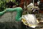 Green Snake, Rambut Siwi Temple, Bali.