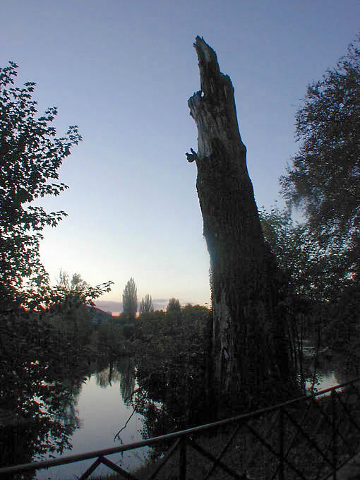 Besancon Parc Micaud at night - France
