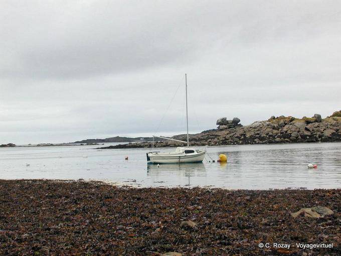 The sailboat in the bay, Roscoff, Brittany - France