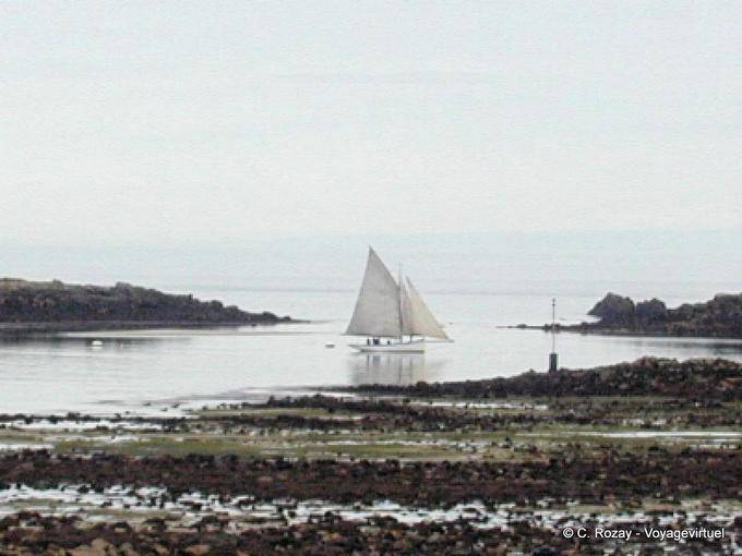 Low tide sailboat passing to advanced Vil in Roscoff, Brittany - France