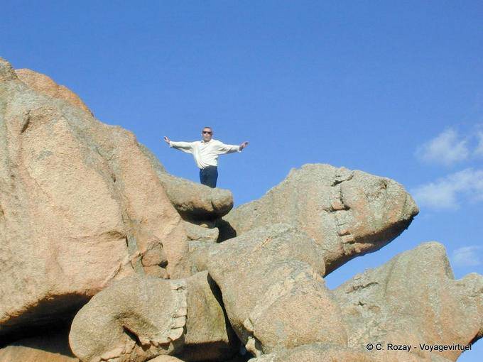 Turtle Rock, Douaniers footpath, Brittany - France