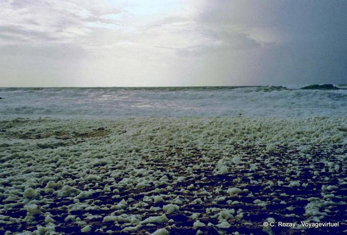 Scum field, Quiberon, Brittany - France