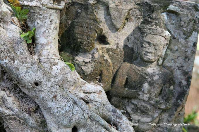 Sculptures in the roots, Banteay Kdei, Angkor, Cambodia