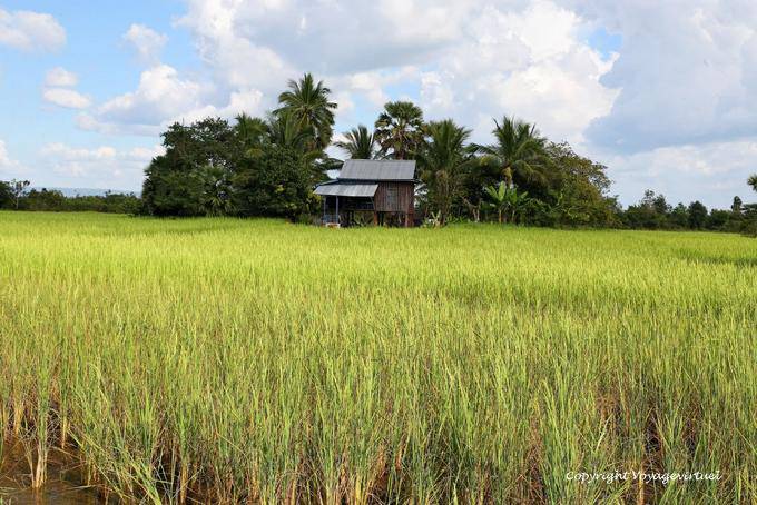 Culture and house on the outskirts of Banteay Samre, Angkor, Cambodia