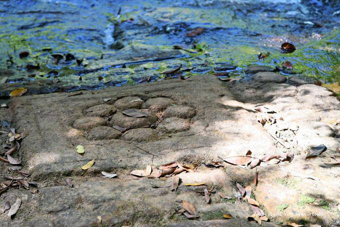 Stone Flower, Kbal Spean website, Angkor, Cambodia