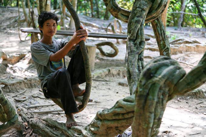 Kbal Spean, Natural Swing, Angkor, Cambodia