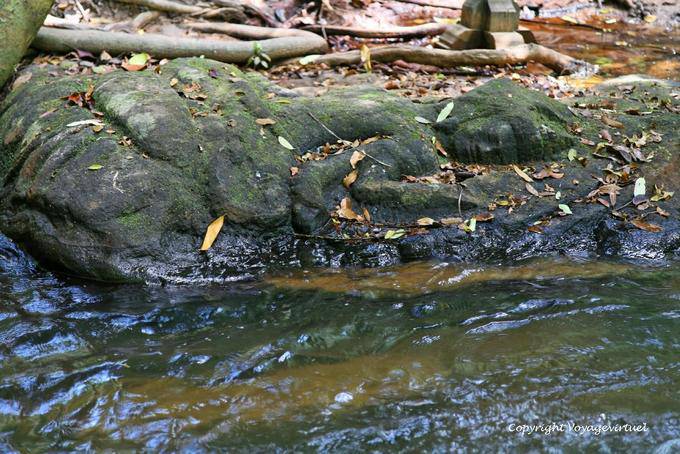Vishnu lying in bed, Kbal Spean, Angkor, Cambodia