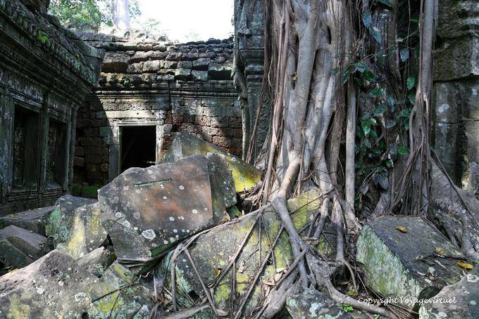 Ruins overgrown with vegetation, Ta Prohm, Angkor, Cambodia
