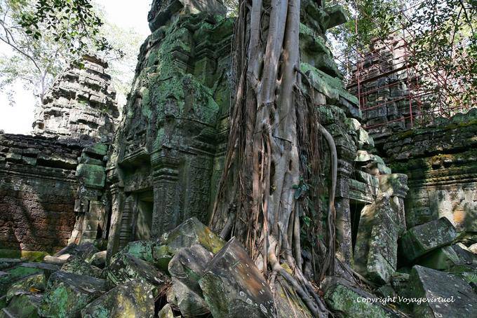 Privacy architecture and nature at Ta Prohm, Angkor, Cambodia