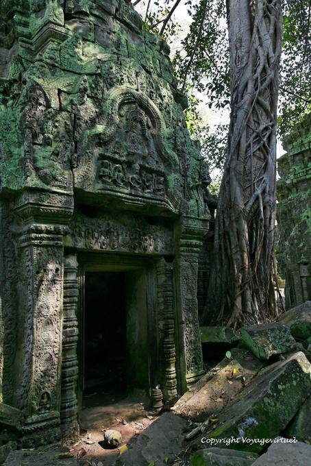Pediment of a door, Ta Prohm, Angkor, Cambodia