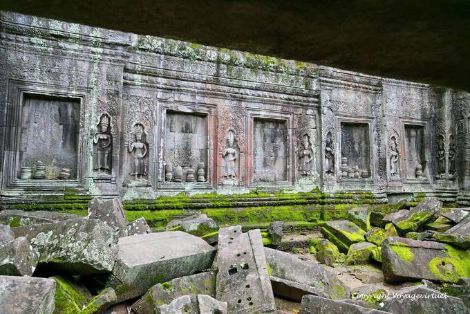 Invasion of foam, Ta Prohm, Angkor, Cambodia