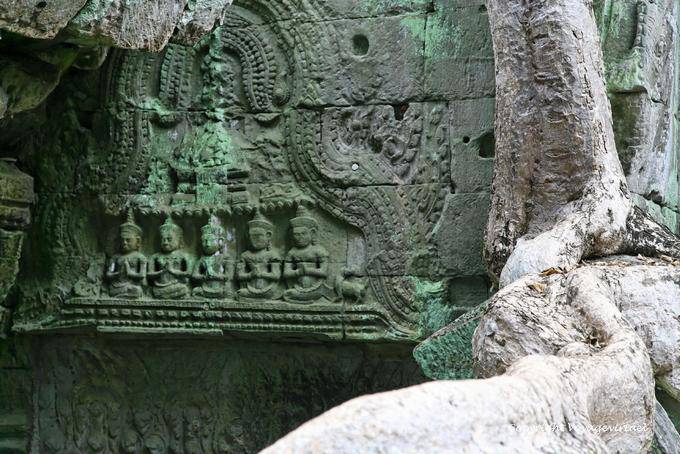 Buddhist detail, Ta Prohm, Angkor, Cambodia