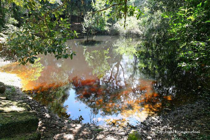 Ta Phrom colorful Mare, Angkor, Cambodia