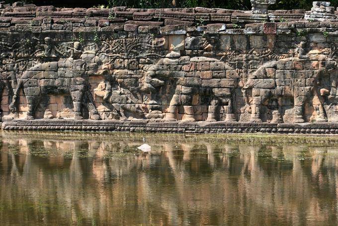 Carved frieze depicting a procession of elephants, elephants Terrace, Angkor, Cambodia