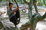 Kbal Spean, Natural Swing, Cambodia.