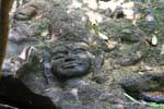 Kbal Spean, relief sculpture in the riverbed, Cambodia.