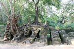 Mixture of ruins and trees entwined roots, Prasat Thom Manon, Cambodia.