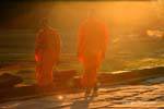 Monks walking in the sunset, Angkor Wat, Cambodia.