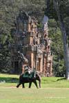 Elephant on the esplanade of the Place du Palais Royal, Angkor Thom, Cambodia.