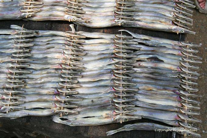 Artistic Display of fish kebabs, Phumi Chhlong - Cambodia