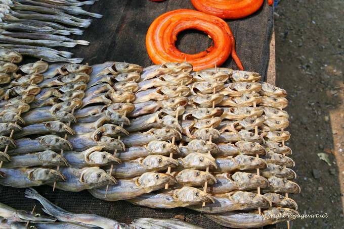 Fish probably the family of catfish, Phumi Chhlong - Cambodia