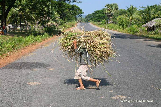 Farmer and his burden through the current NH7 - Cambodia