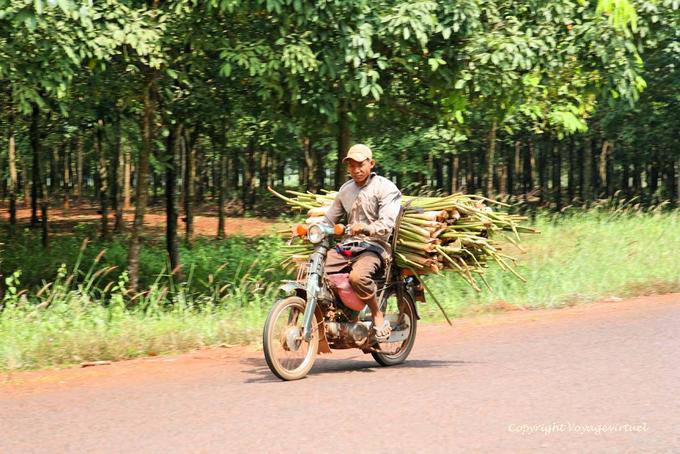 Agricultural transport on two wheels, NH7 to Snuol - Cambodia