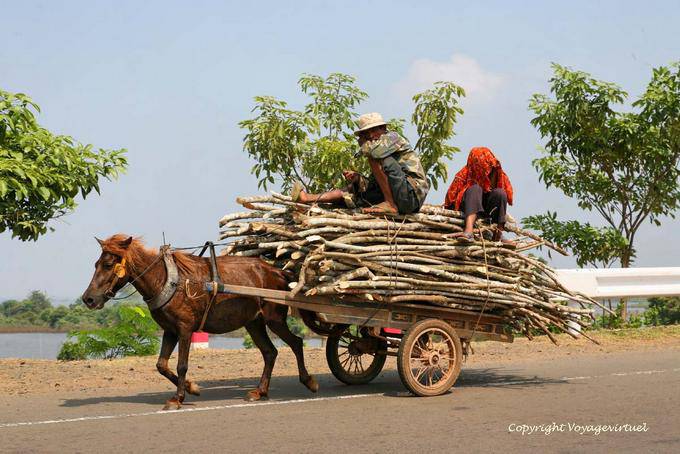 Horse carriage carrying wood along the Mekong - Cambodia
