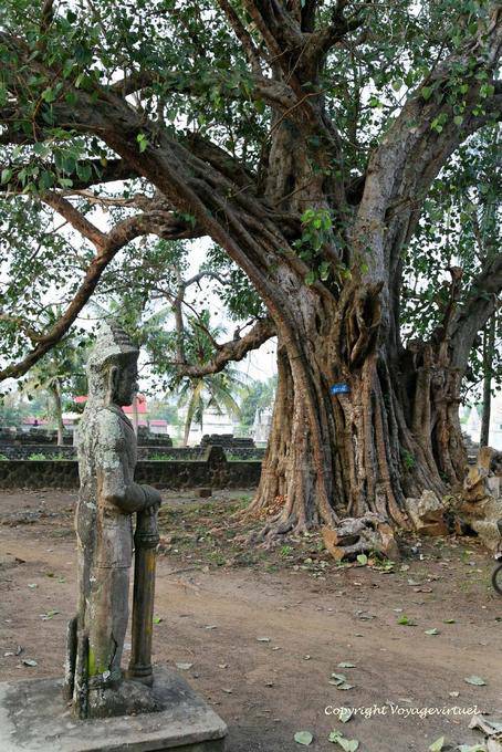 Guardian deity (dvarapala) under the giant tree, Wat Nokor, Kampong Cham - Cambodia