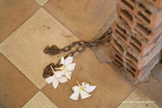 Flowers on the chains, Khmer Genocide Museum, Phnom Penh - Cambodia