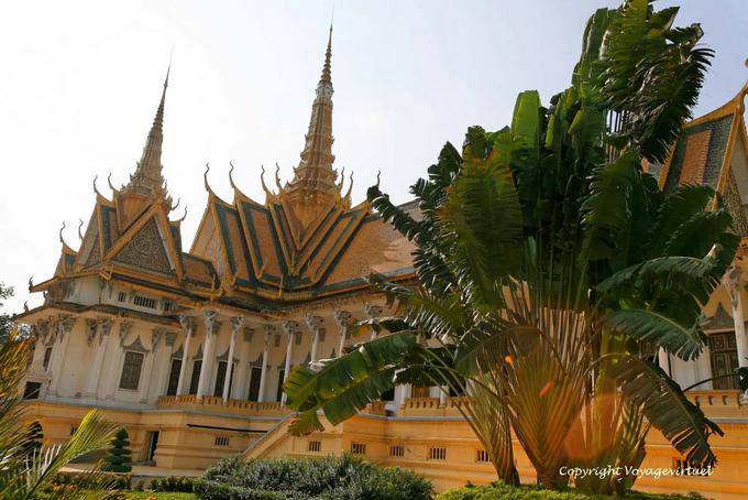 Traveler's tree in the garden of the Royal Palace, Phnom Penh - Cambodia