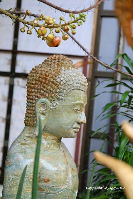 Buddha Profile and fruits of sal, Wat Preah Keo, Phnom Penh - Cambodia