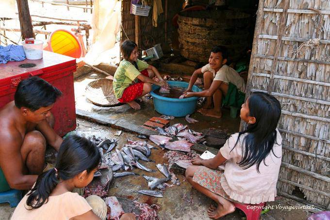 Cleaning the fish caught, Siem Reap - Cambodia