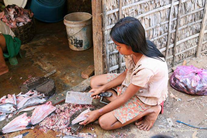 Cutting fish before drying, Siem Reap - Cambodia