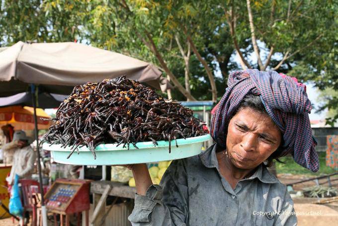 Skun, local specialty, black tarantulas fries (Aping) - Cambodia