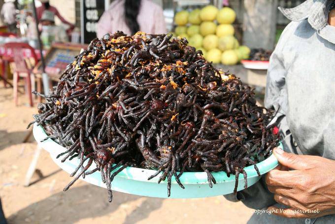 Basin full of spiders living in burrows of the jungle, Skun (Skuon) - Cambodia