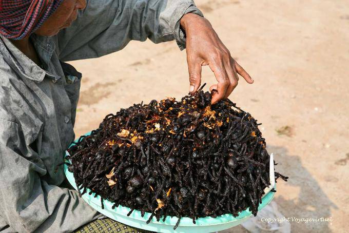 Eating Spiders are good for health, Skun (Skuon) - Cambodia