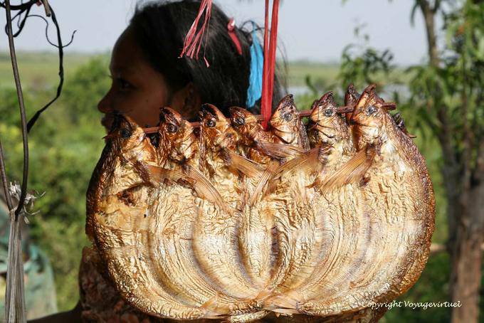 Artistic blend of dried fish, around Batheay, - Cambodia