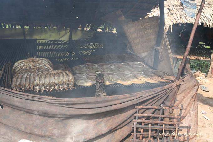 Smoked fish from the Tonle Sap area Kampong Luong - Cambodia