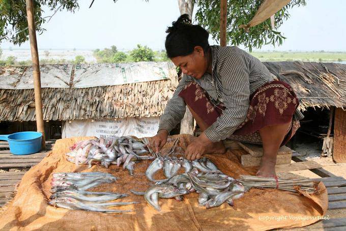 Preparation of fish skewers, Kaoh Chen - Cambodia