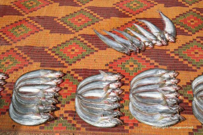 Stall of fresh fish on colorful mat Kaoh Chen - Cambodia